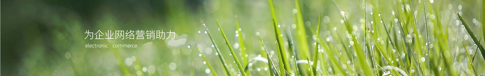 ³ľӿƼ޹˾